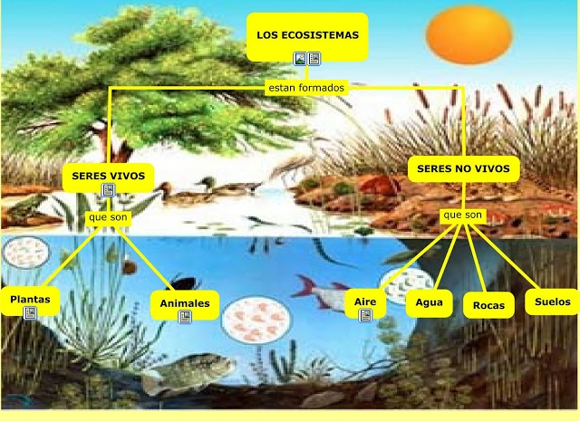 mapa conceptual de ecosistemas