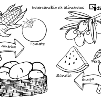 Ficha4.-Animales