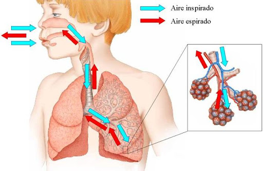 respiración